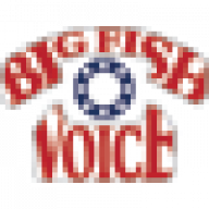 bigfishvoice
