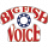 bigfishvoice